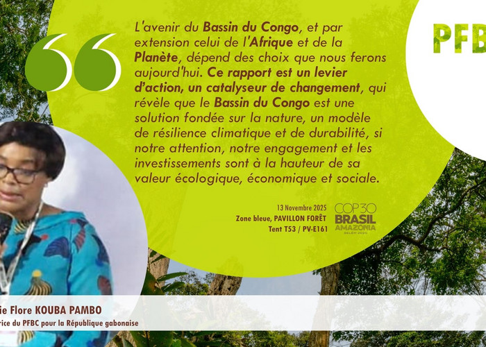 Quote Card - PFBC - Citation - Aurélie Flore KOUBA PAMBO