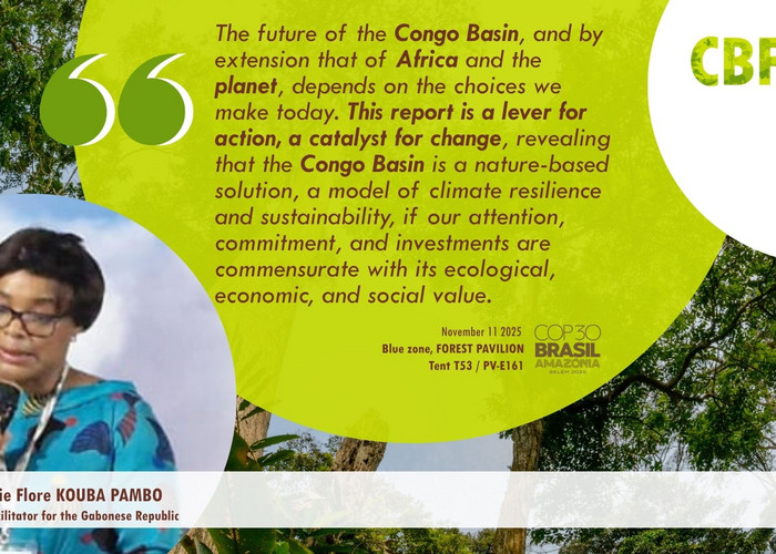 Quote Card - CBFP - Quote card - Aurélie Flore KOUBA PAMBO