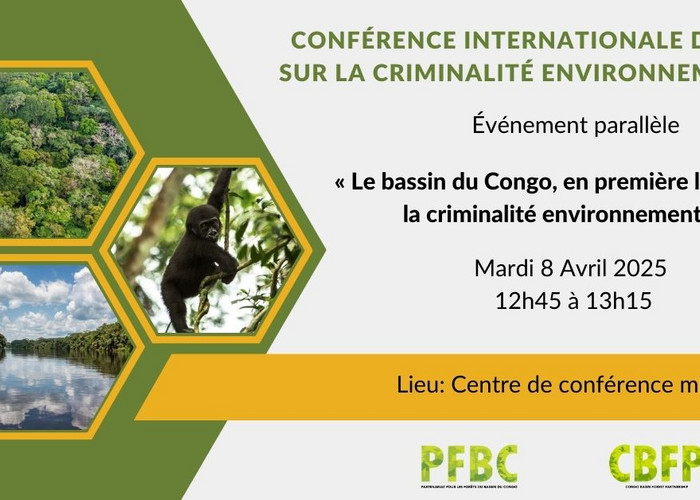 Brown Minimalist Skincare Sale Facebook Ad - 1