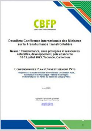 Transhumance_Yaounde_CompendiumPIP-d46ca628.jpg