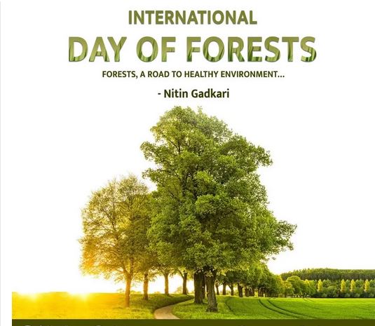 International Day Of Forests 2022: Date, Theme, History And Significance -  CBFP - Congo Basin Forest Partnership