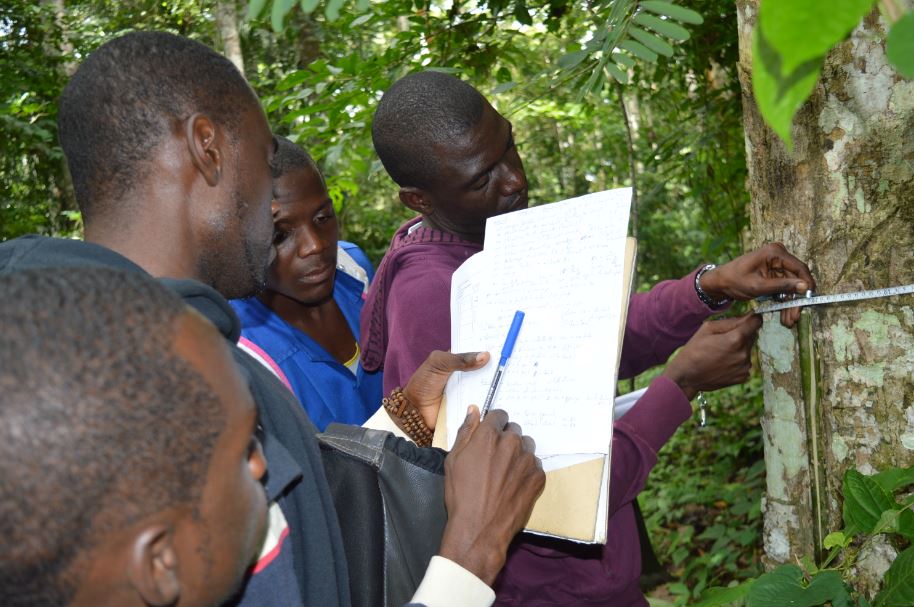 Étude des étudiants du CRESA- Foret Bois à école des eaux et forêts de Mbalmayo. Image Merline Touko T