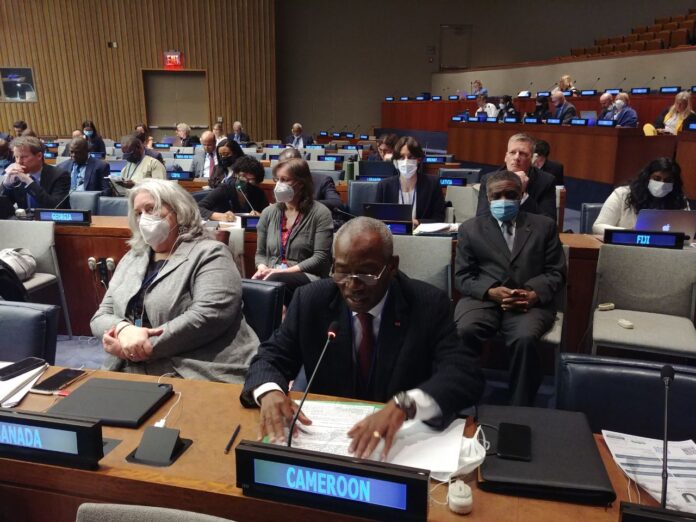 Cameroun : l'ONU salue une nouvelle ère pouvant contribuer à la
